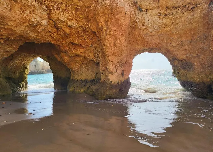 Casa Da Laranjeira 알보르