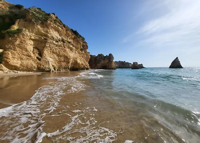 Casa Da Laranjeira 알보르