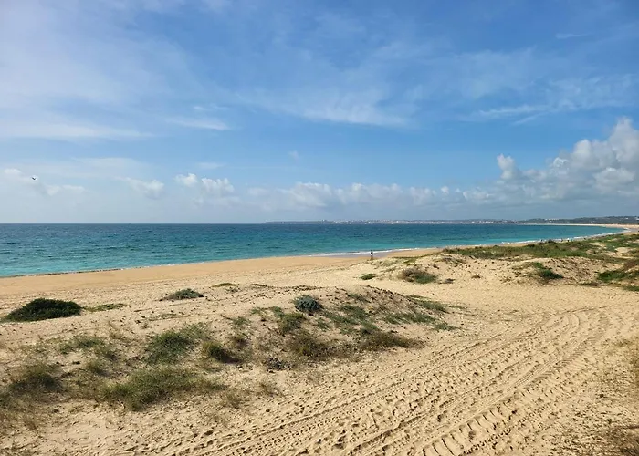 아파트 Casa Da Laranjeira 알보르