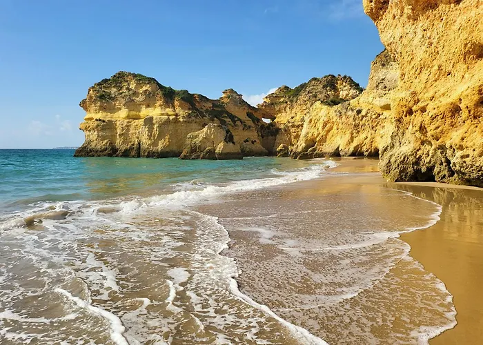 Casa Da Laranjeira 아파트