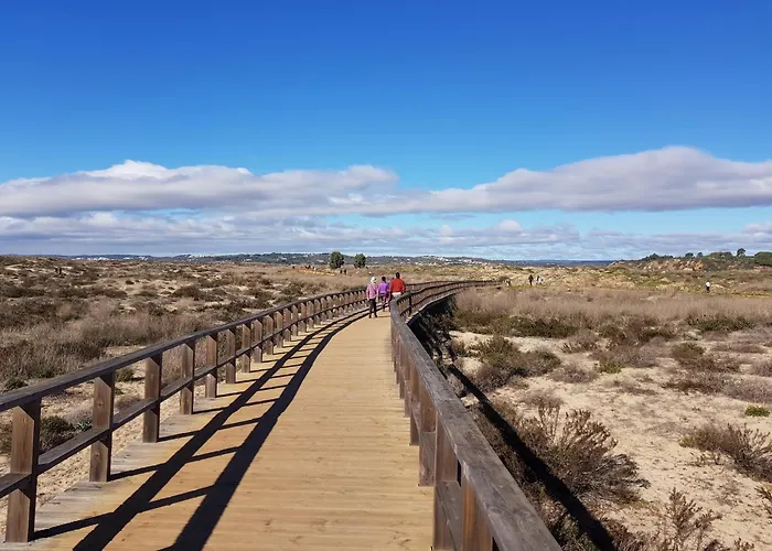 Casa Da Laranjeira 알보르