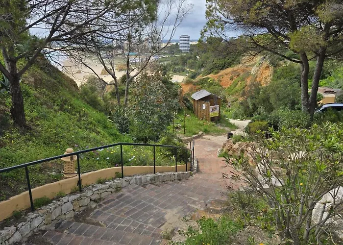 Casa Da Laranjeira 아파트 알보르