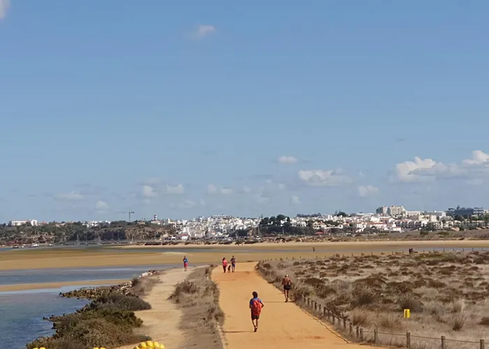 Casa Da Laranjeira 아파트 *