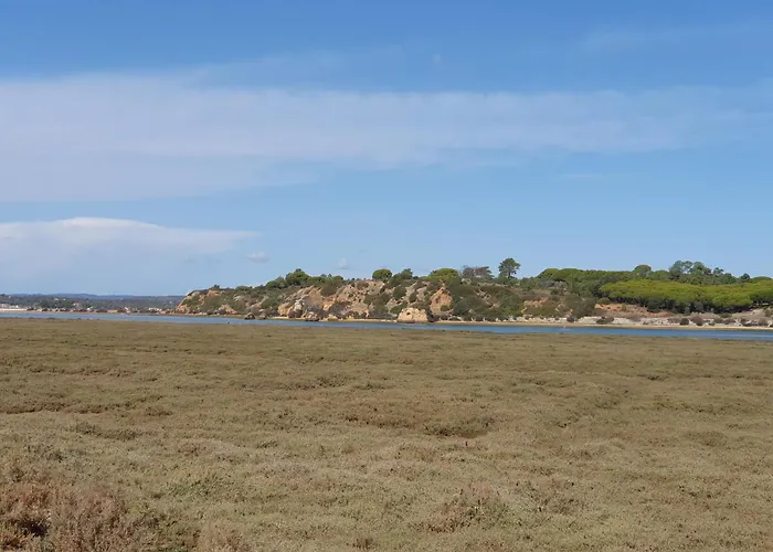 Casa Da Laranjeira 아파트 *